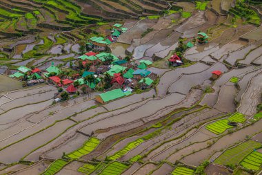 Filipinler, Luzon Adası 'ndaki Batad Rice Terasları