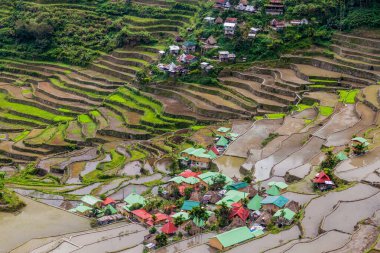 Filipinler, Luzon Adası 'ndaki Batad Rice Terasları
