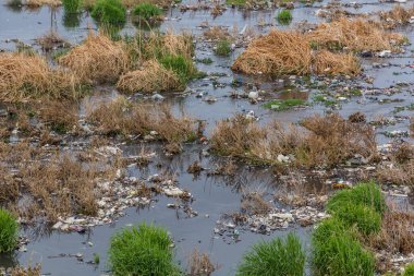 İran 'ın Zanja Rud nehrindeki plastik çöpler.