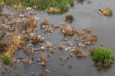 İran 'ın Zanja Rud nehrindeki plastik çöpler.