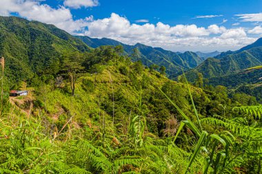 Filipinler, Banaue yakınlarında orman kaplı dağlar