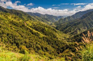 Filipinler, Banaue yakınlarında orman kaplı dağlar