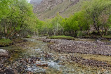 Tacikistan 'ın Pamir dağlarındaki Jizev (Jizeu, Geisev veya Jisev) vadisi