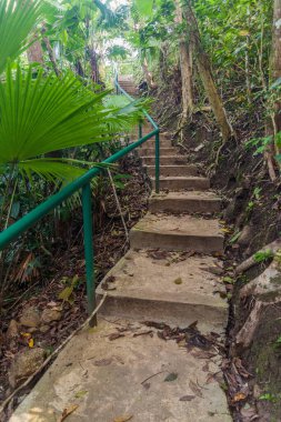 Filipinler, Siquijor Adası 'ndaki Bandilaan Dağı bakış açısına adımlar.