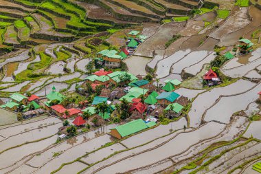 Batad pirinç teraslarının havadan görünüşü, Luzon Adası, Filipinler