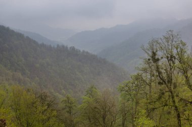İran 'daki Rudkhan şatosunun etrafındaki tepelerde orman