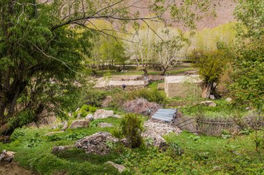 Tacikistan 'ın Pamir dağlarına bağlı Jizeu (Jizev veya Jisev) köyü