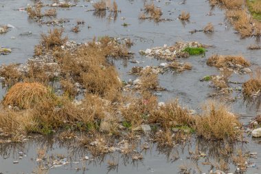 İran 'ın Zanja Rud nehrindeki plastik çöpler.