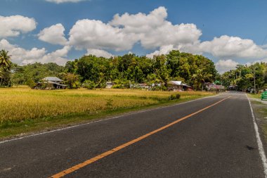 Filipinler, Bohol Adası Yolu.