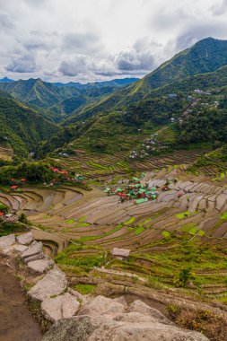 Batad pirinç teraslarının havadan görünüşü, Luzon Adası, Filipinler