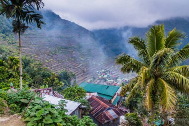 Batad pirinç teraslarının akşam manzarası, Luzon Adası, Filipinler