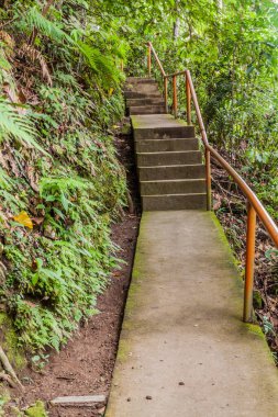 Valencia, Negros Adası, Filipinler 'deki Casaroro Şelalesi' ne yürüyüş yolu.