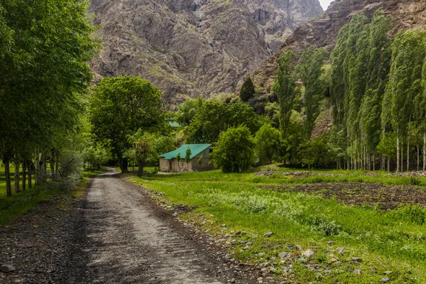 Baghu Dorp Bartang Vallei Pamir Gebergte Tadzjikistan — Stockfoto