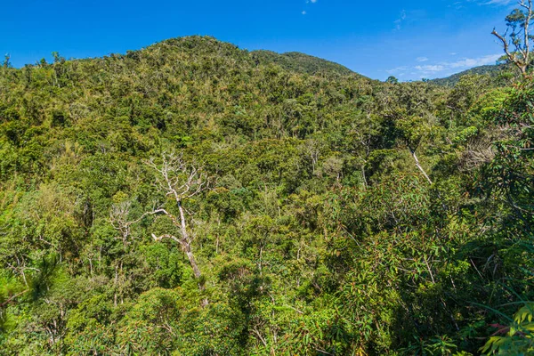 フィリピン バナウエ近郊の森に覆われた山 — ストック写真