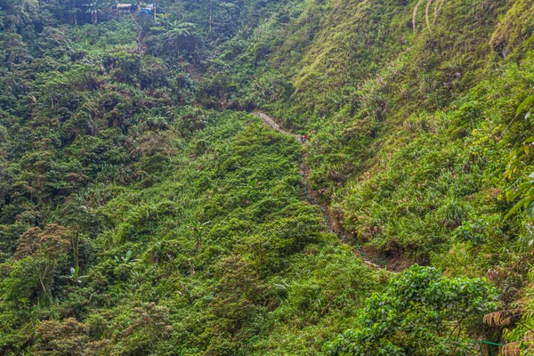 Sentiero Ripido Tappiya Falls Vicino Villaggio Batad Isola Luzon Filippine — Foto Stock