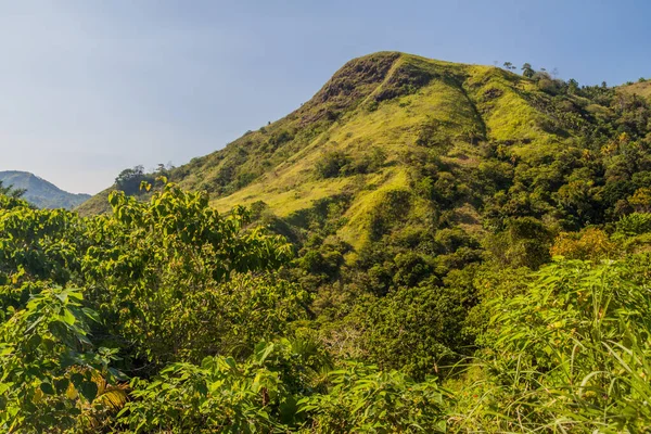 Filipinler Bohol Adası Manzarası — Stok fotoğraf