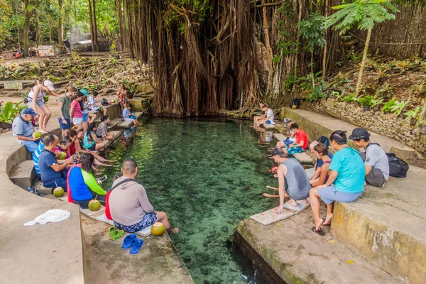 Siquijor Philippines February 2018 People Enjoy Natural Fish Spa Old — Stock Photo, Image