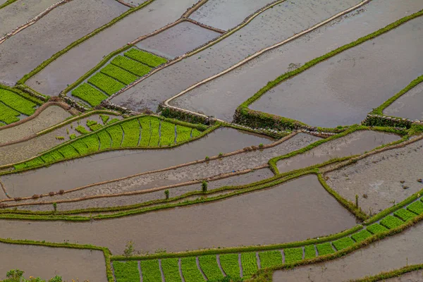 Αεροφωτογραφία Του Batad Rice Terraces Luzon Island Φιλιππίνες — Φωτογραφία Αρχείου