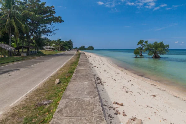 Carretera Costera Árboles Angulares Isla Siquijor Filipinas —  Fotos de Stock