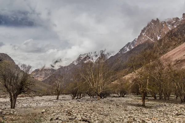 Paisaje Del Valle Jizev Jizeu Geisev Jisev Las Montañas Pamir — Foto de Stock