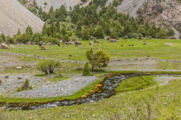 Поток Артучем Горах Фанна Таджикистан — стоковое фото