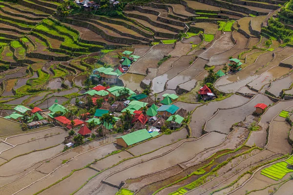 Vista Aérea Dos Terraços Arroz Batad Ilha Luzon Filipinas — Fotografia de Stock