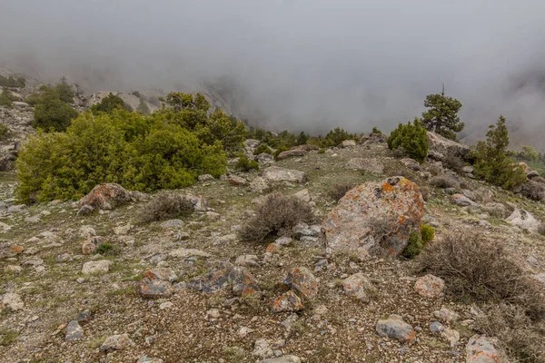 Kameny Mlze Horách Fann Tádžikistán — Stock fotografie