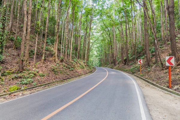 Strada Attraverso Foresta Artificiale Bilar Sull Isola Bohol Filippine — Foto Stock