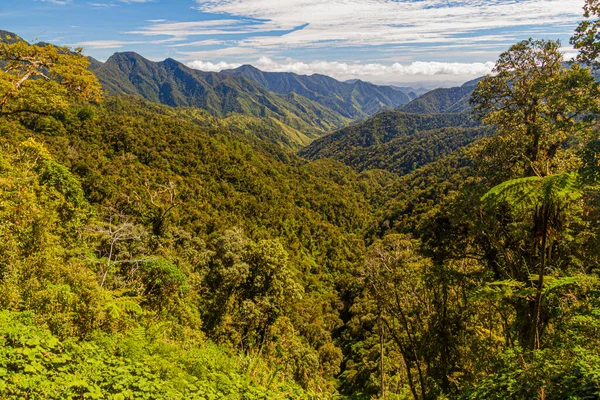 Filipinler Banaue Yakınlarında Orman Kaplı Dağlar — Stok fotoğraf