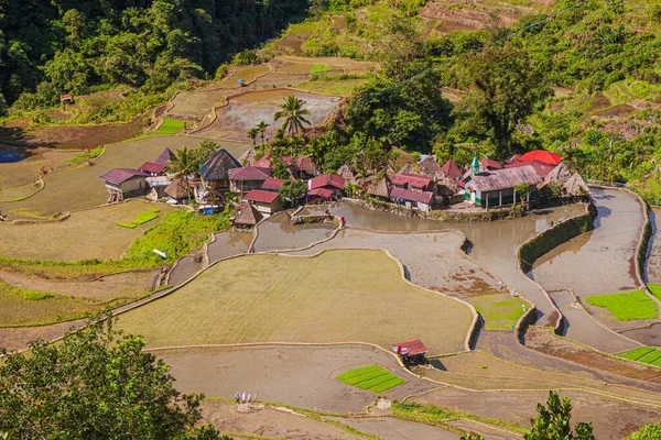 フィリピン ルソン島バナエ近くのキンキン稲作村 — ストック写真