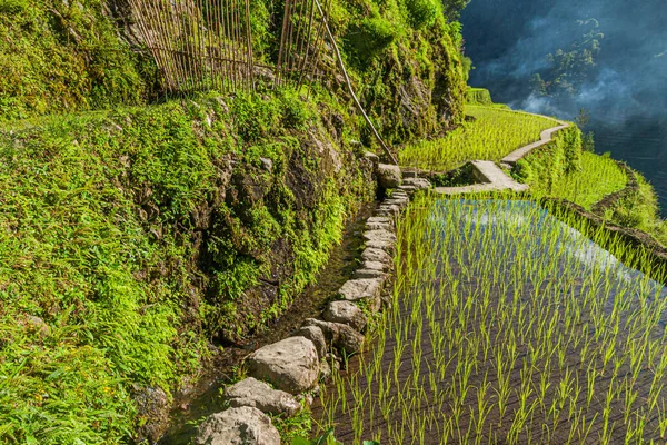 Terrazze Riso Ifugao Sull Isola Luzon Filippine — Foto Stock