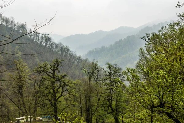 Floresta Nas Colinas Torno Castelo Rudkhan Irão — Fotografia de Stock