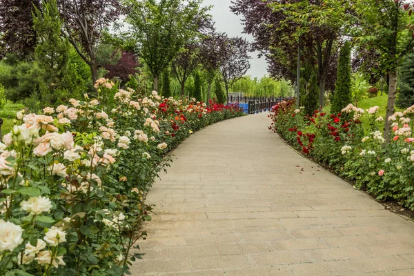 タジキスタンの首都ドゥシャンベにある旗竿公園 — ストック写真
