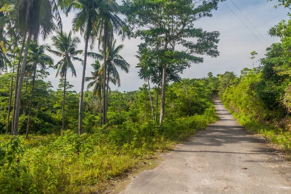 Country Road Siquijor Island Philippines — Stock Photo, Image