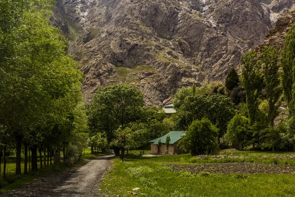Wieś Baghu Dolinie Bartang Górach Pamir Tadżykistan — Zdjęcie stockowe