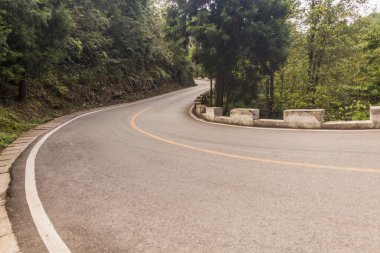 Çin 'in Hunan eyaletindeki Zhangjiajie Ulusal Orman Parkı' nda Paved yolu.