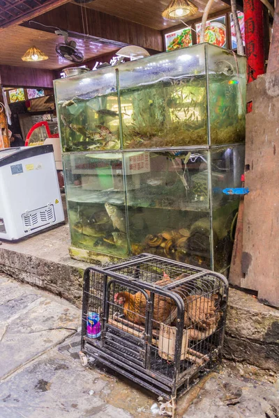 Furong Zhen China August 2018 Aquariums Front Restaurant Furong Zhen — Stock Photo, Image