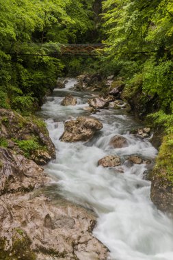 Tolmin Gorges (Tolminska Korita), Slovenya
