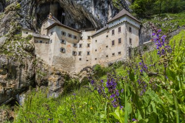 Slovenya 'daki Predjama Kalesi Manzarası