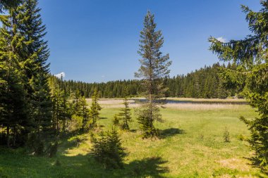 Karadağ 'ın Durmitor dağlarındaki Barno Gölü