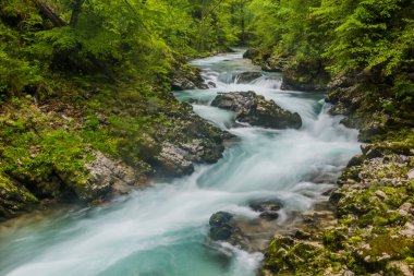 Slovenya, Bled yakınlarındaki Vintgar Geçidi