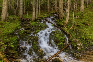 Karadağ 'ın Durmitor dağlarındaki Crno Jezero gölünde şelale