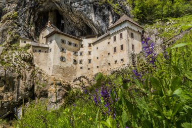 Slovenya 'daki Predjama Kalesi Manzarası