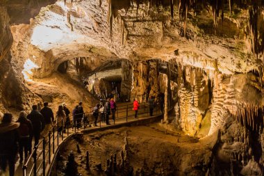 POSTOJNA, SLOVENIA - 17 Mayıs 2019: Postojna mağarası kaya oluşumları, Slovenya