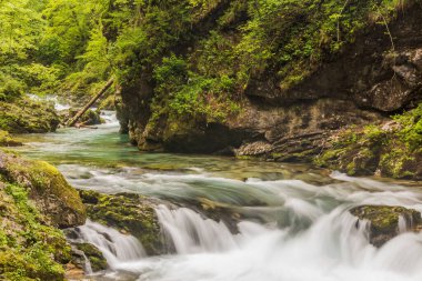 Slovenya, Bled yakınlarındaki Vintgar Geçidi