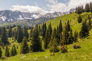 Durmitor dağlarının manzarası, Karadağ