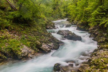 Slovenya, Bled yakınlarındaki Vintgar Geçidi