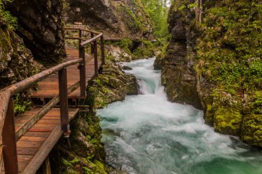 Slovenya, Bled yakınlarındaki Vintgar geçidinde tahta kaldırım