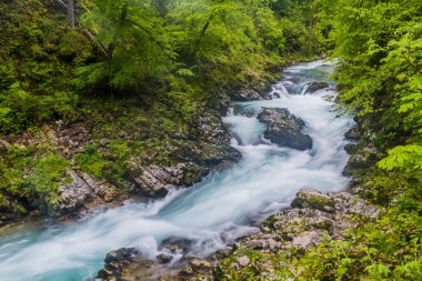 Slovenya, Bled yakınlarındaki Vintgar Geçidi