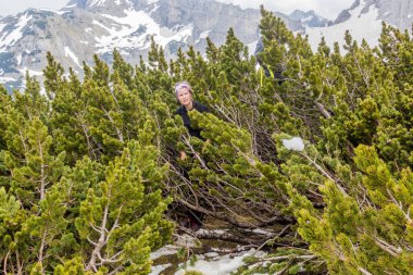 DURMITOR, MONTENEGRO - 6 Haziran 2019: Karadağ 'ın Durmitor milli parkındaki cüce çam ağaçlarında yürüyüşçüler.